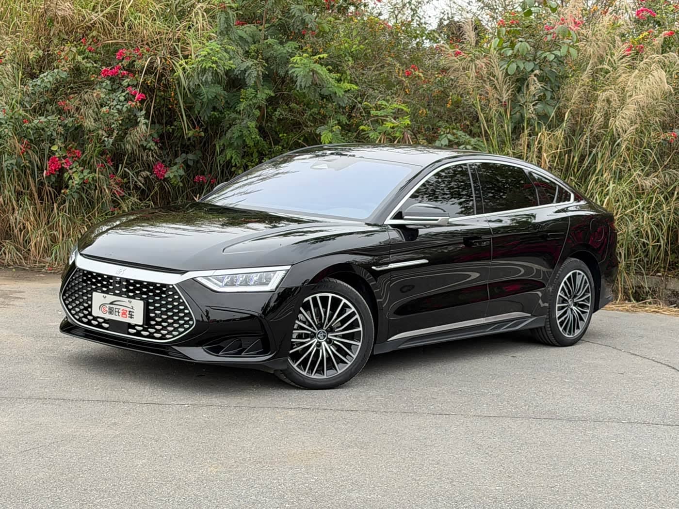 BYD Han