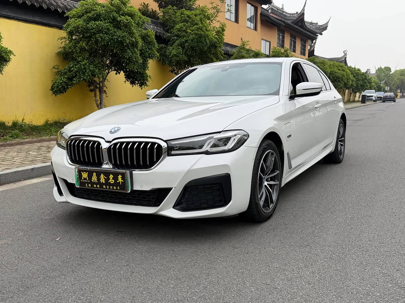BMW 5 Series New Energy