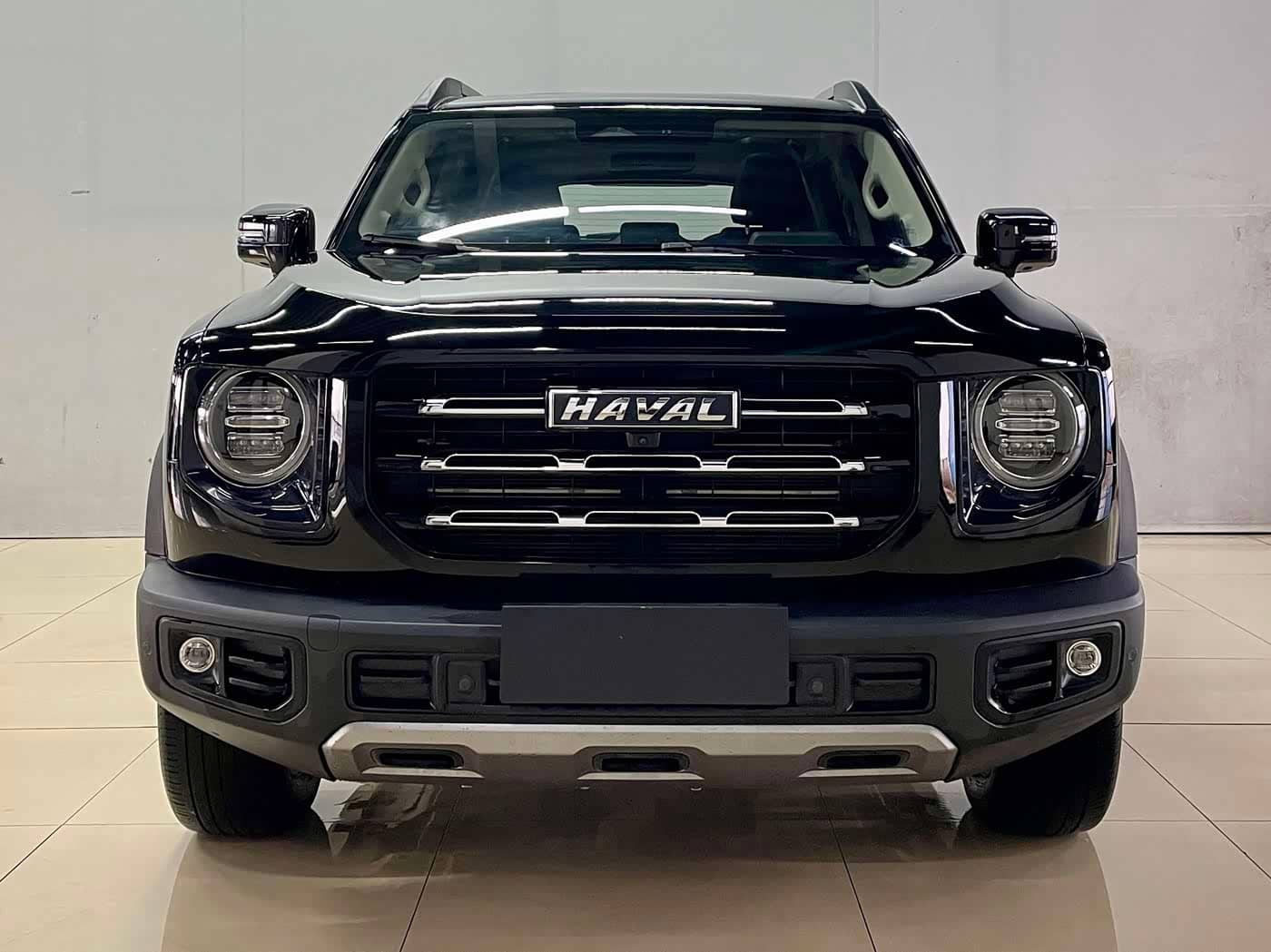 Haval Big Dog