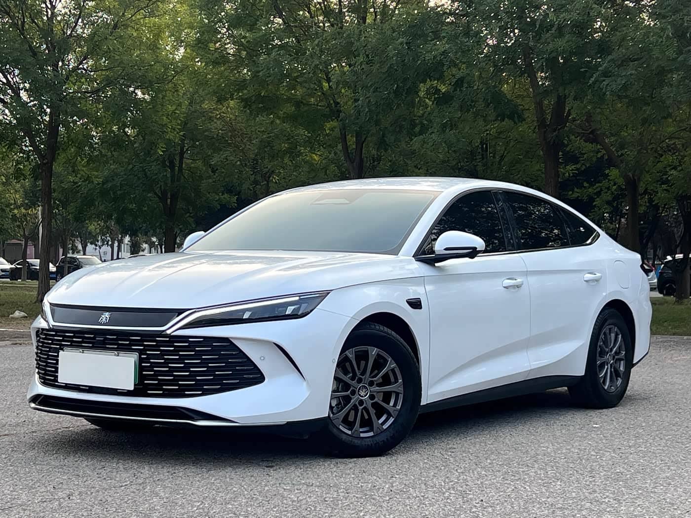 BYD Qin L