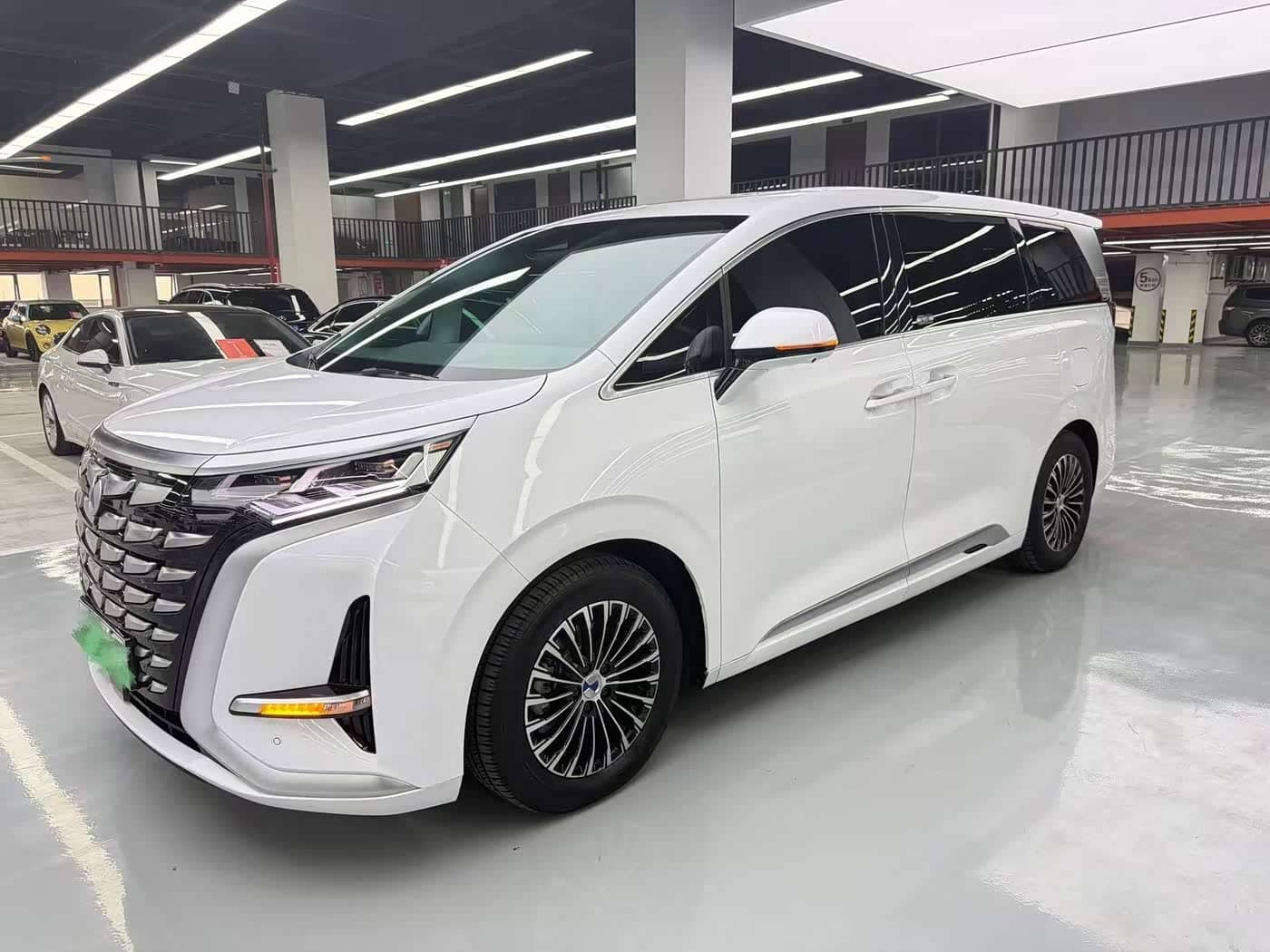 Denza D9