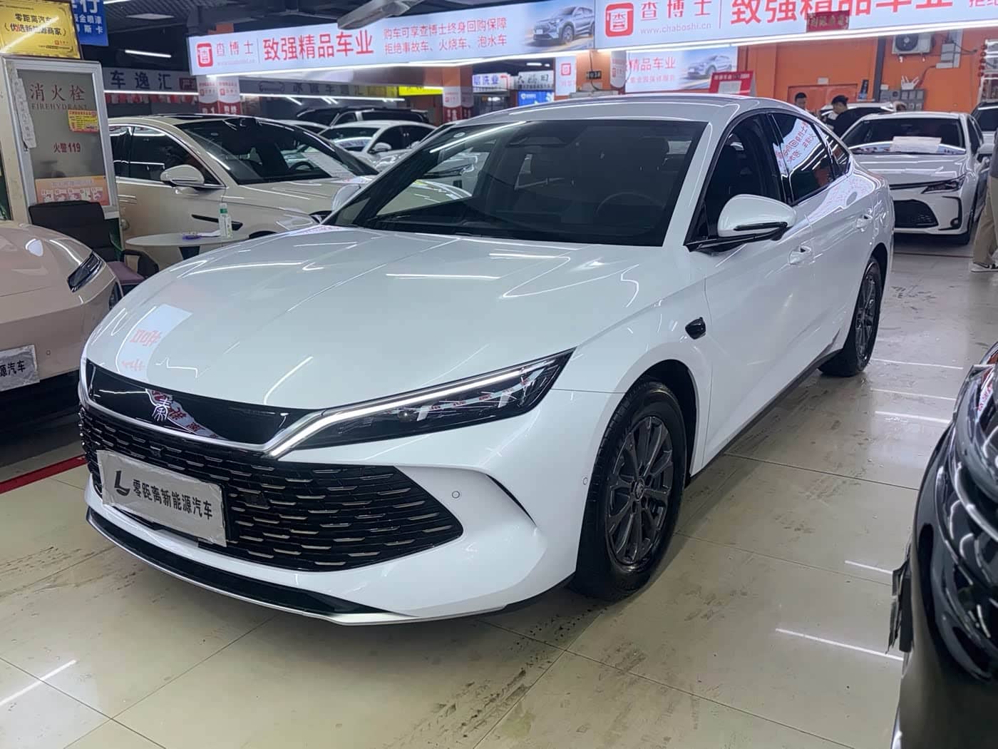 BYD Qin L