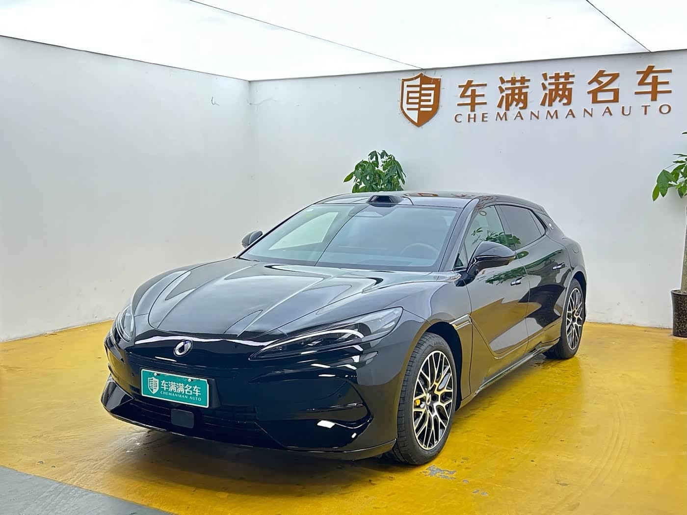 Denza Z9GT