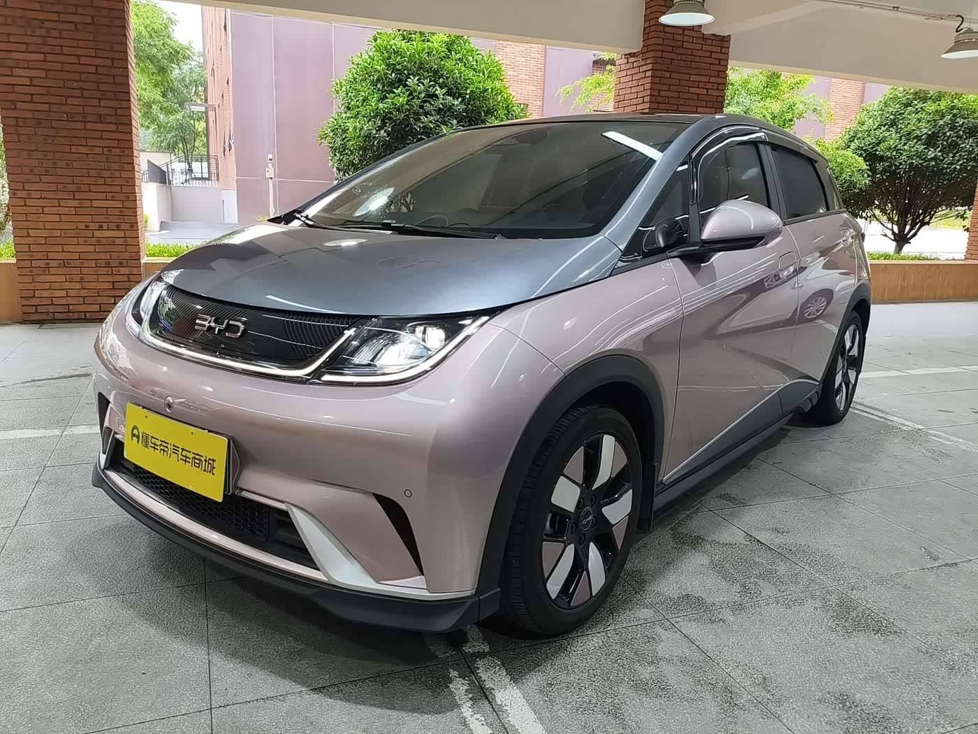 BYD Dolphin