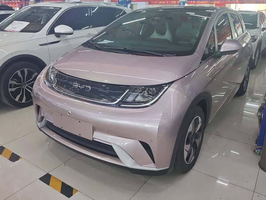 BYD Dolphin