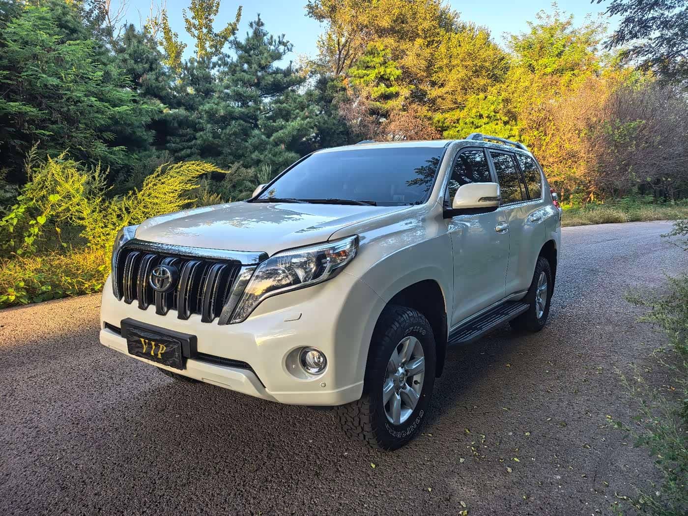 Toyota Prado