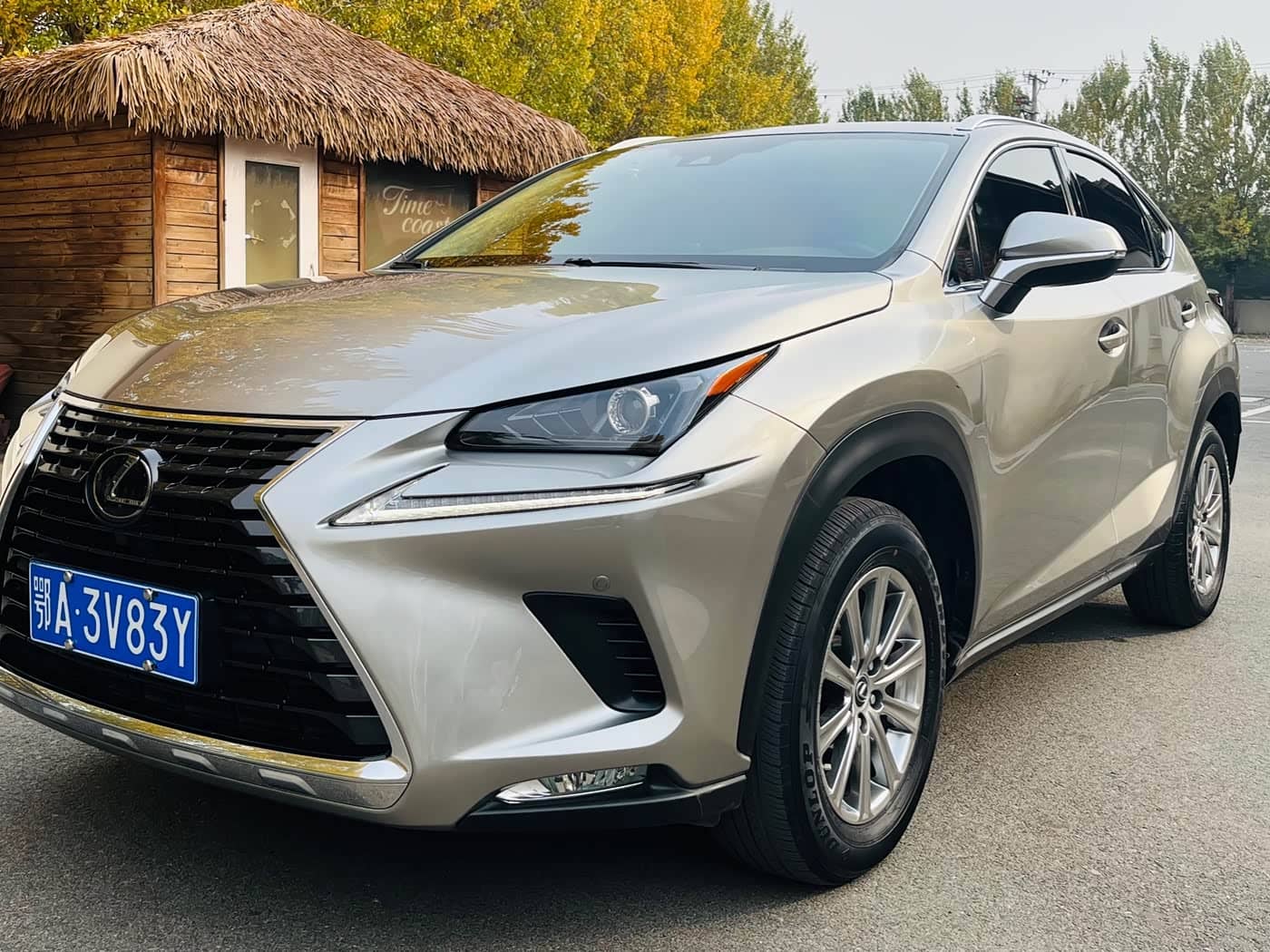 Lexus NX