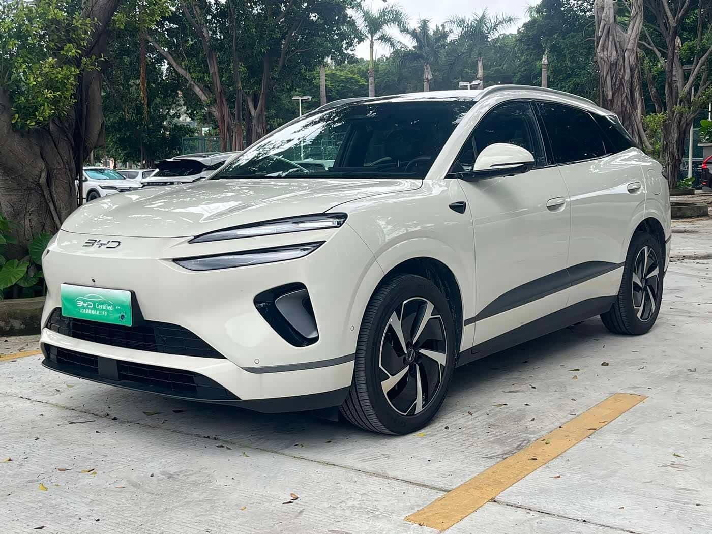 BYD Sealion 06 New Energy