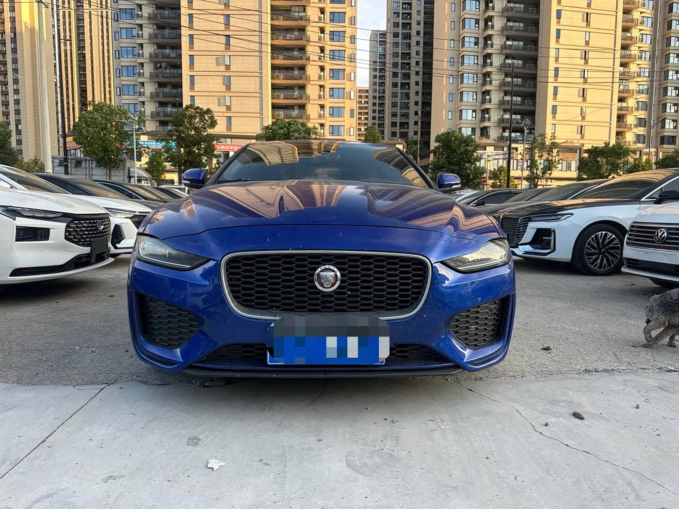 Jaguar XEL