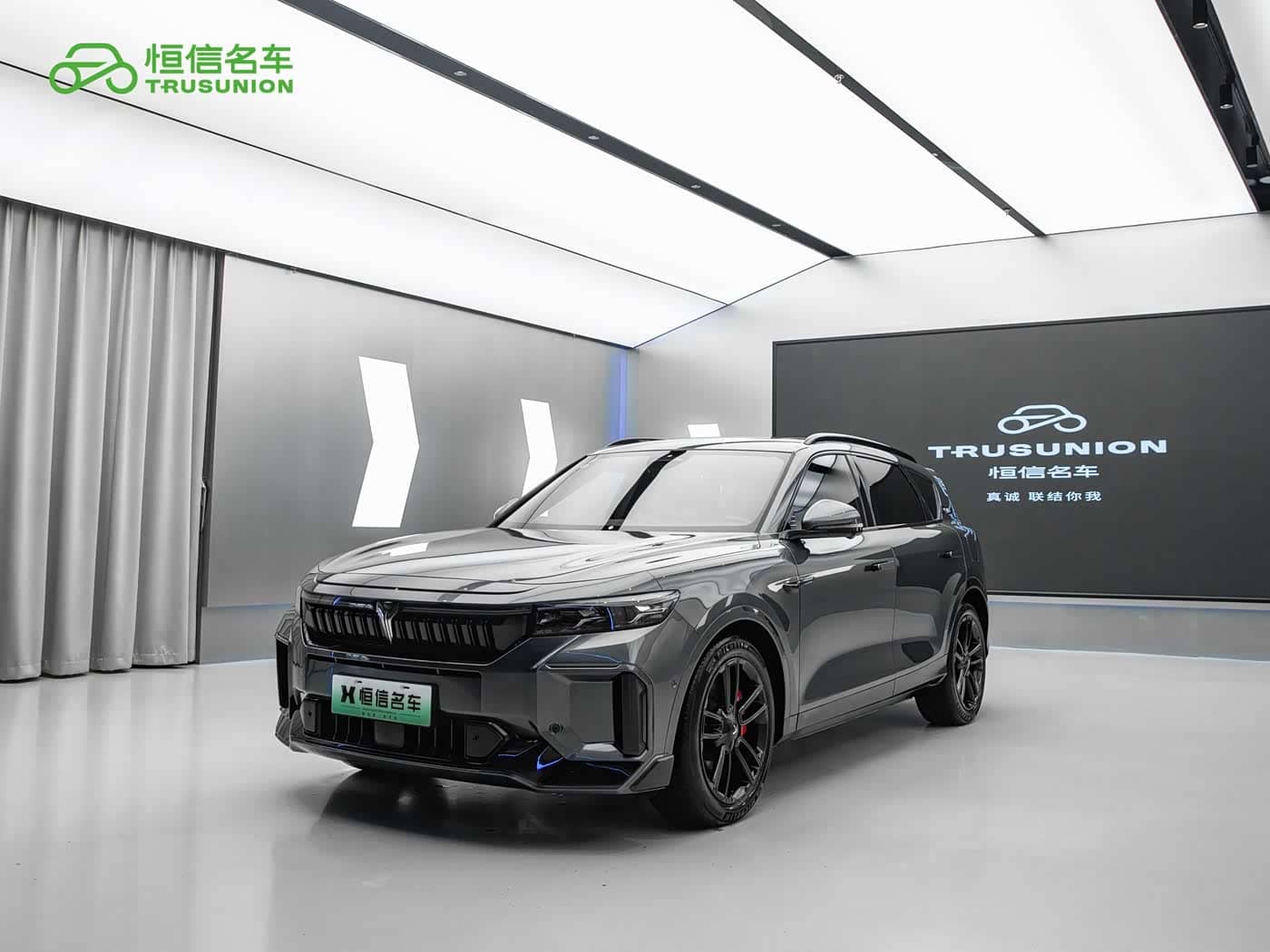 Voyah Auto VOYAH FREE