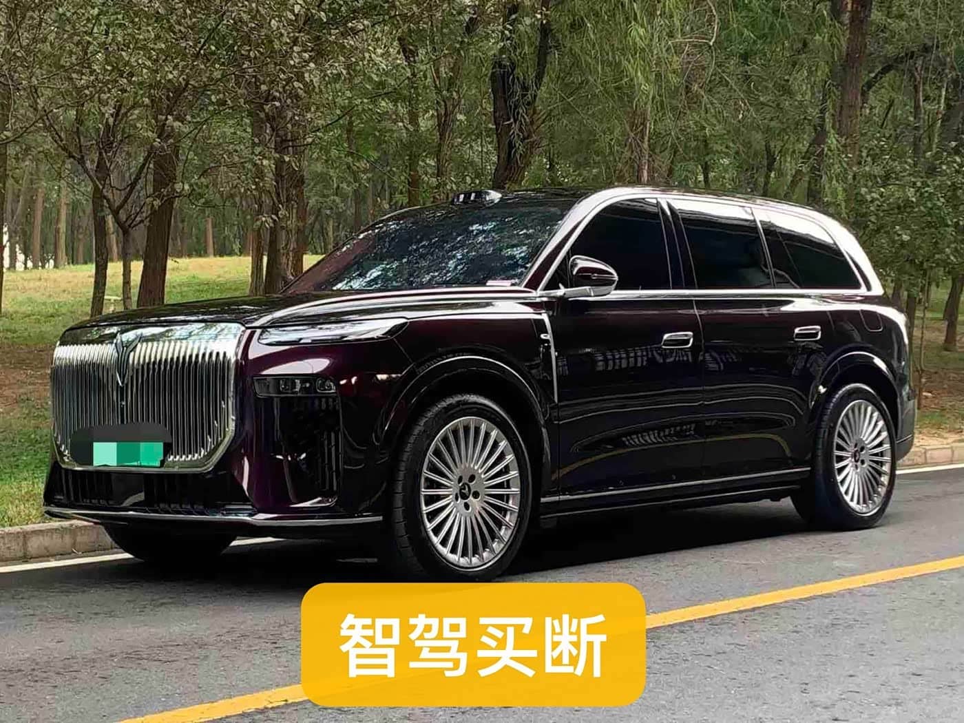 Voyah Auto VOYAH Taisan