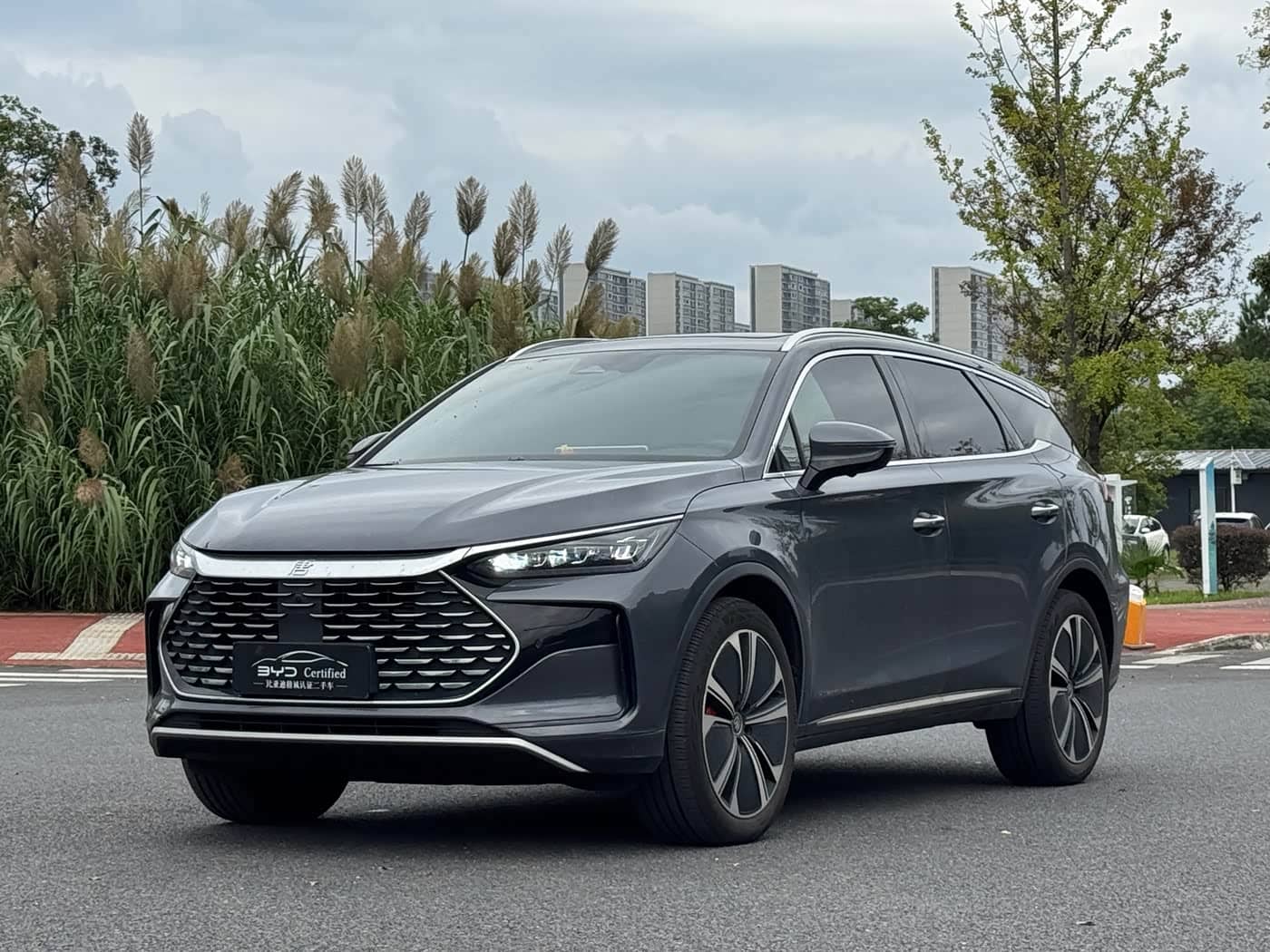 BYD Tang New Energy