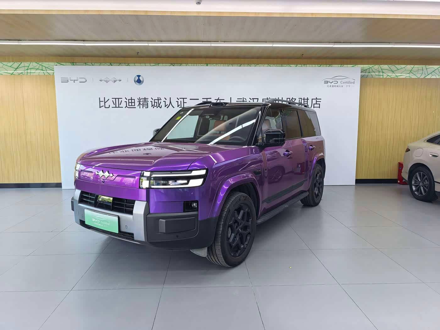 Fang Cheng Bao Titanium 7