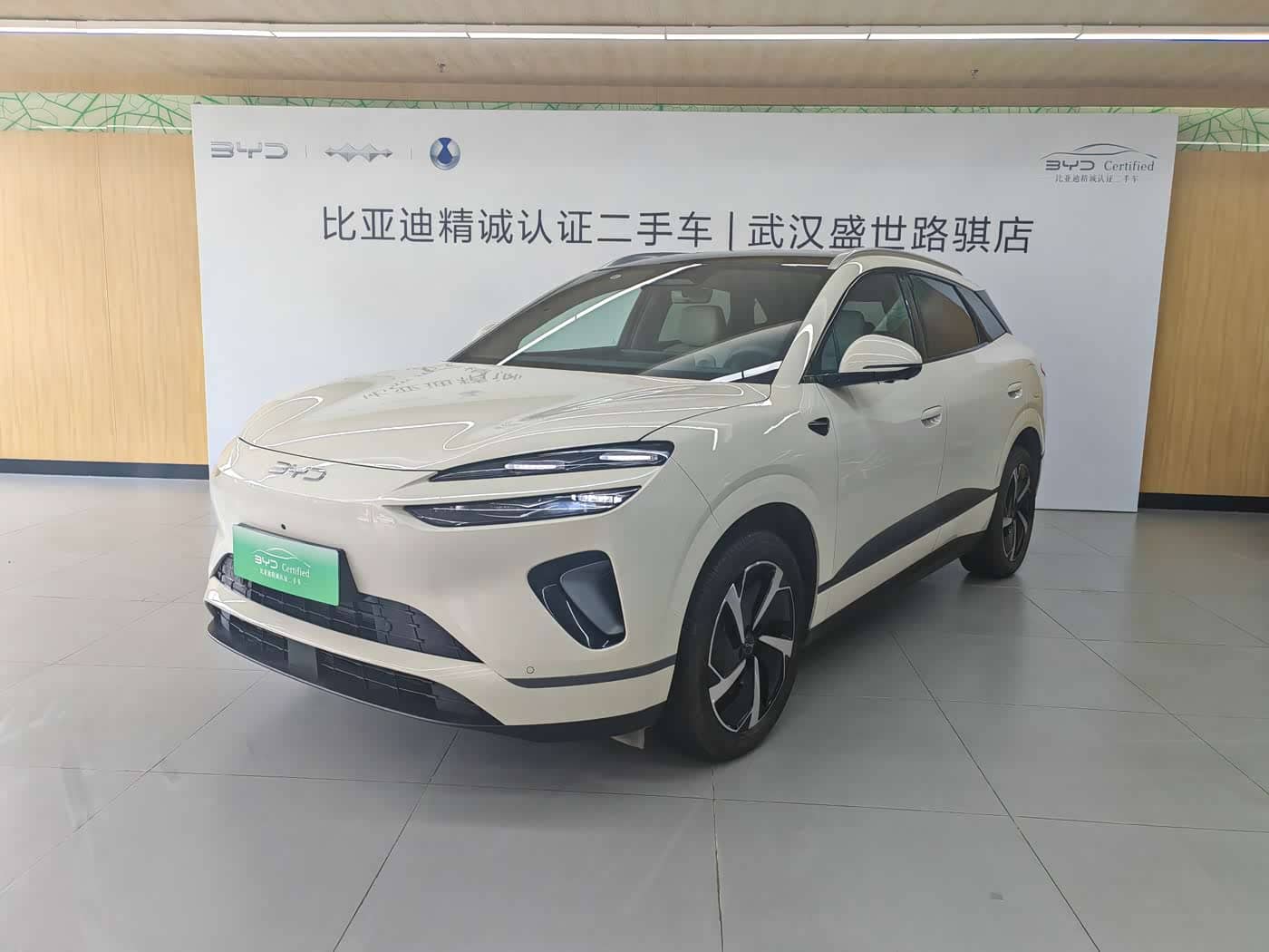 BYD Sealion 06 New Energy