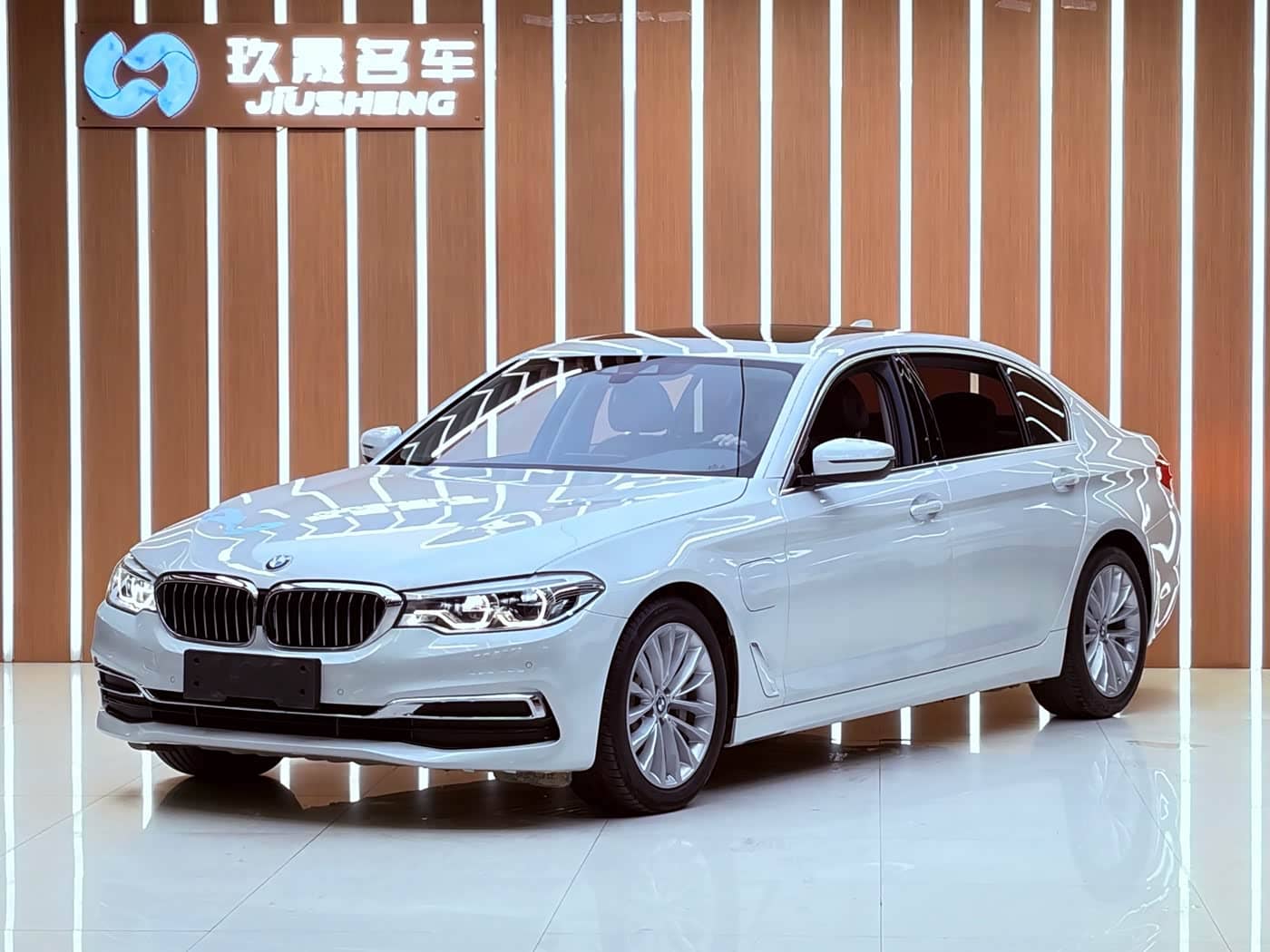 BMW 5 Series New Energy