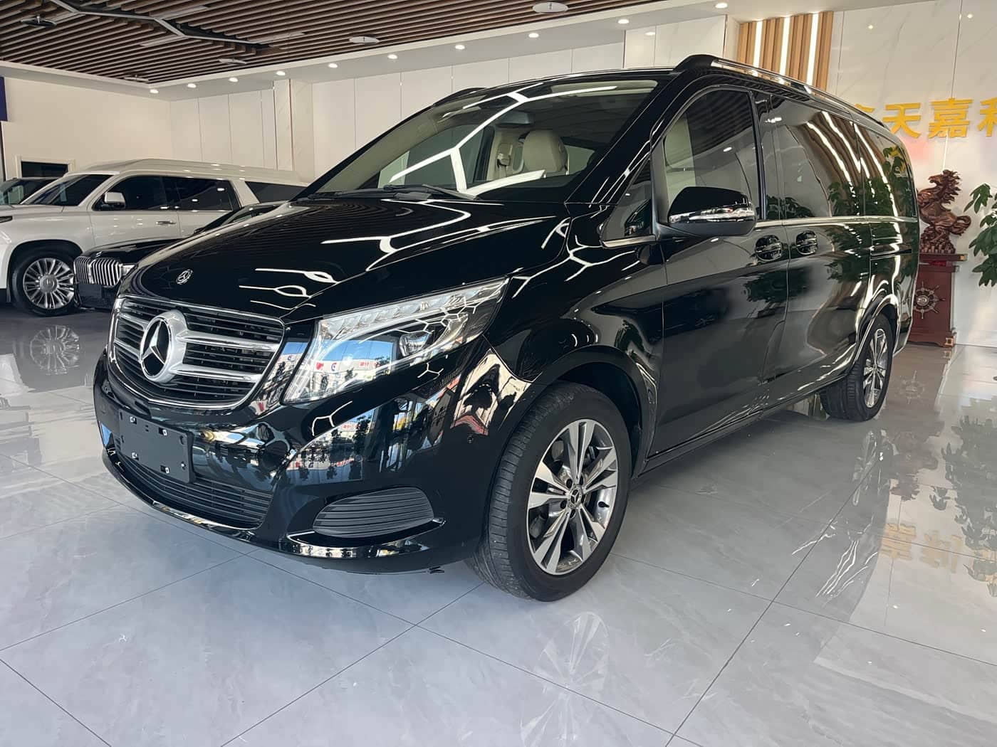 Mercedes-Benz V-Class