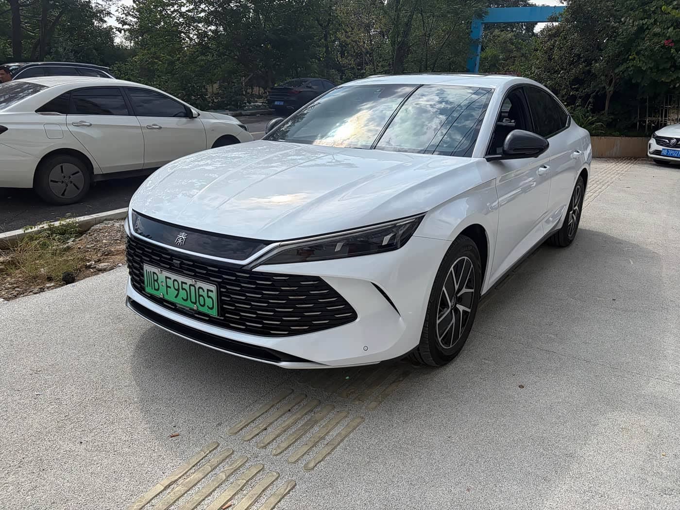 BYD Qin L