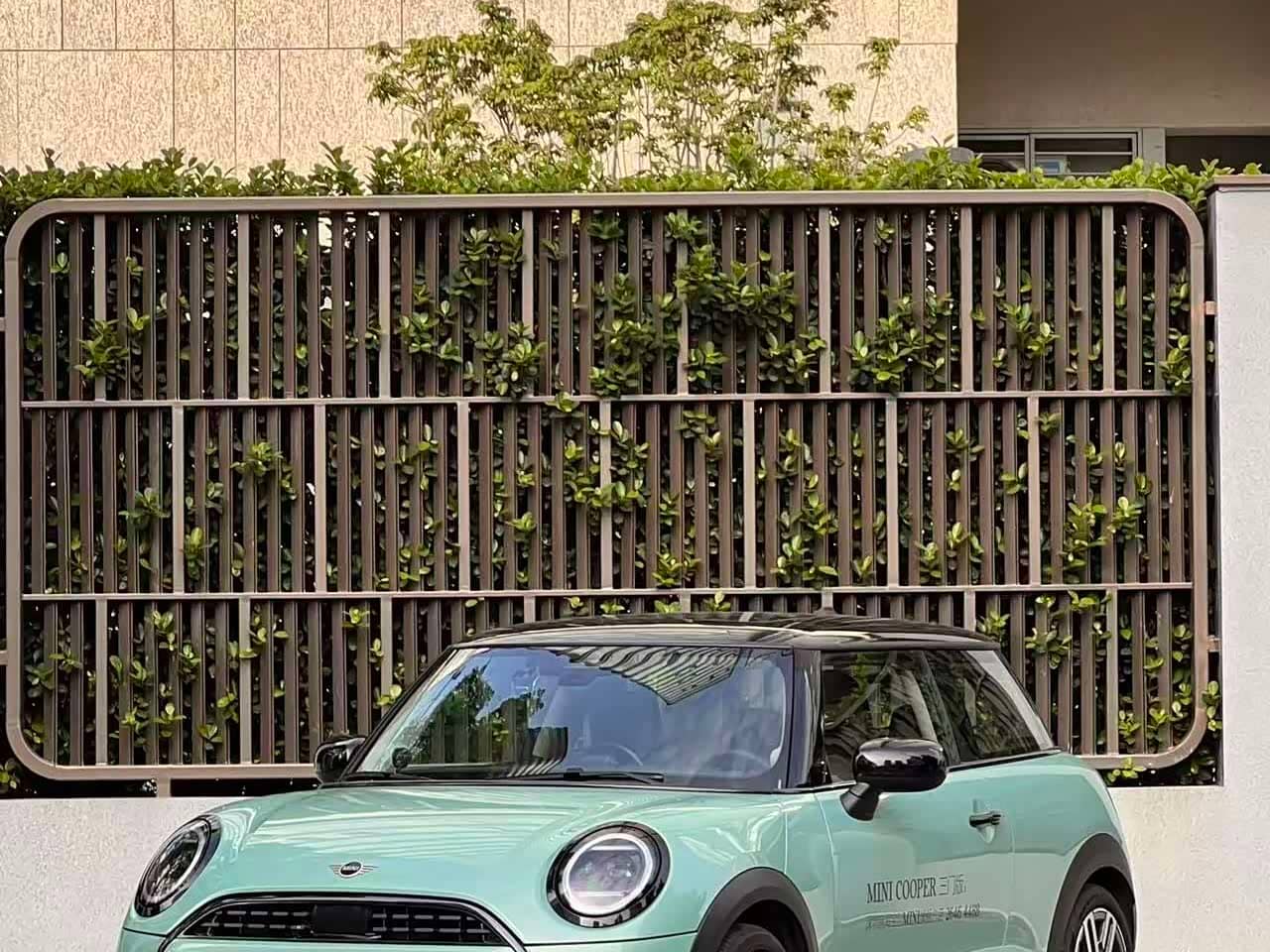 MINI MINI