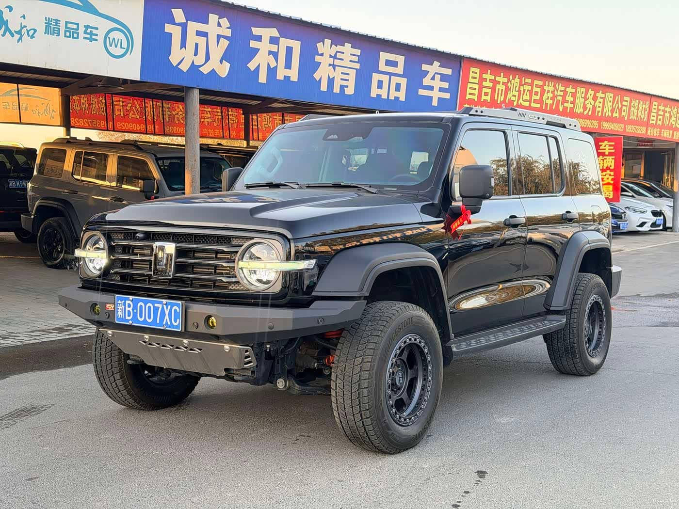 Tank 300