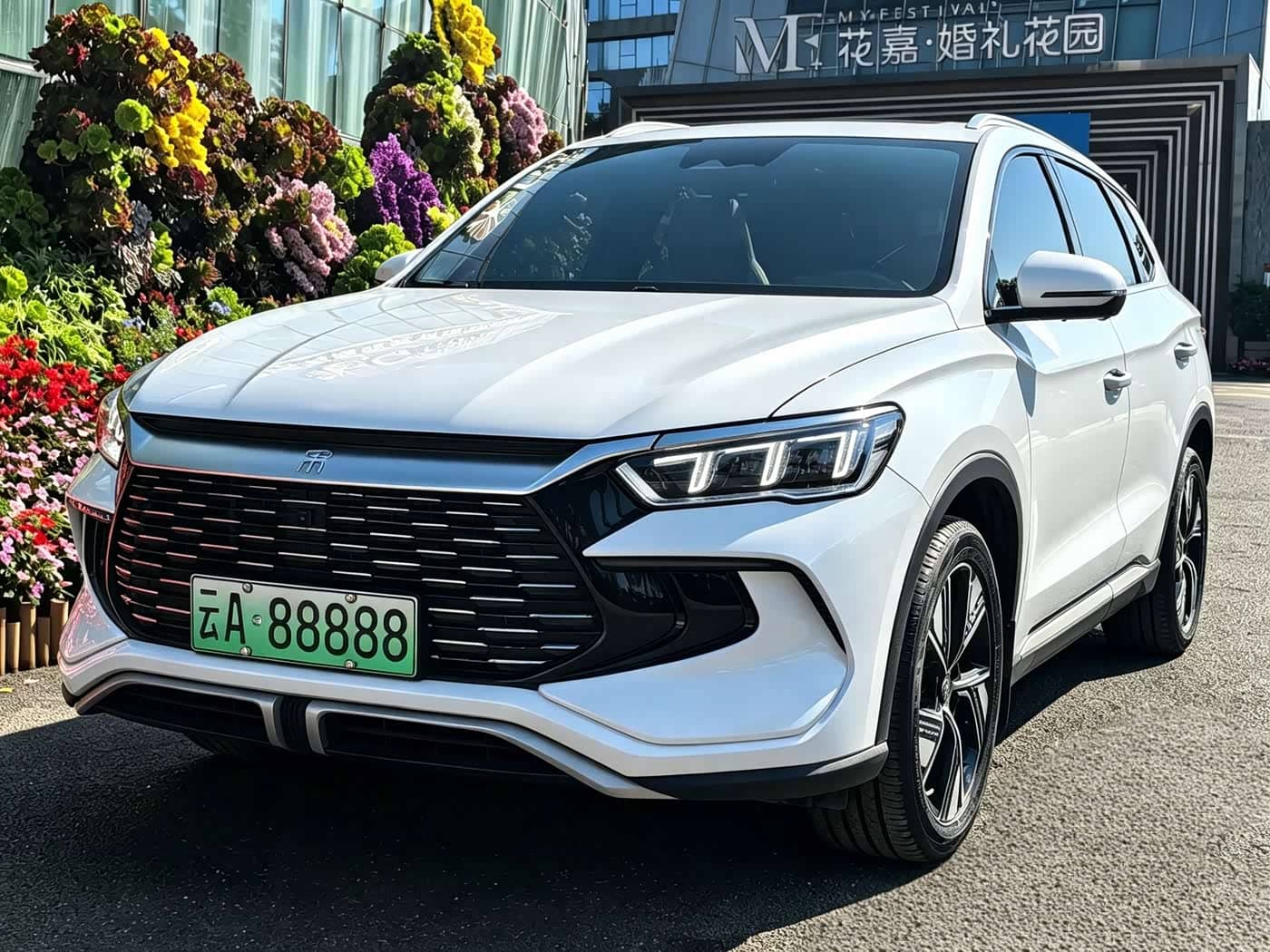 BYD Song Pro New Energy
