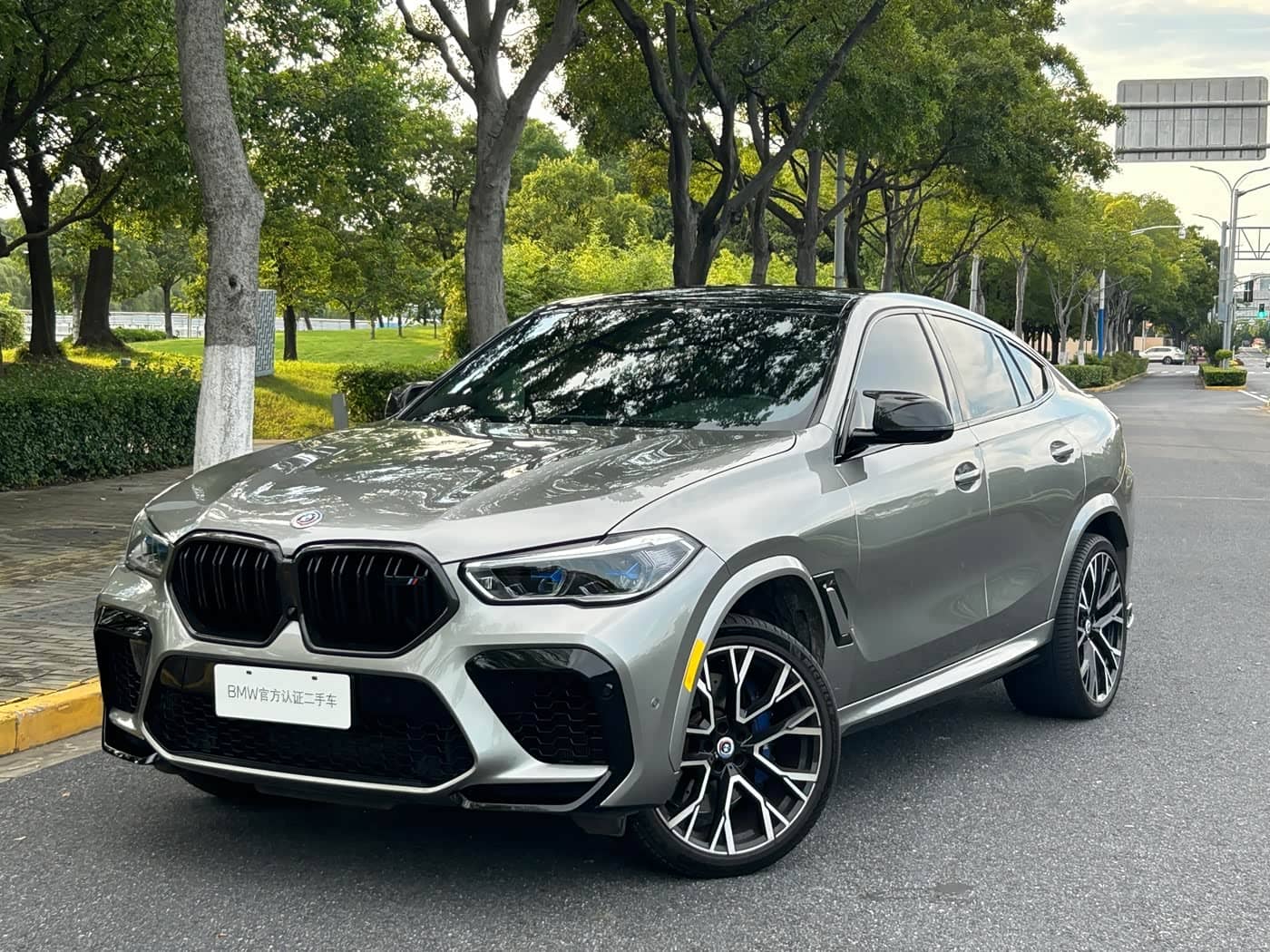BMW X6 M