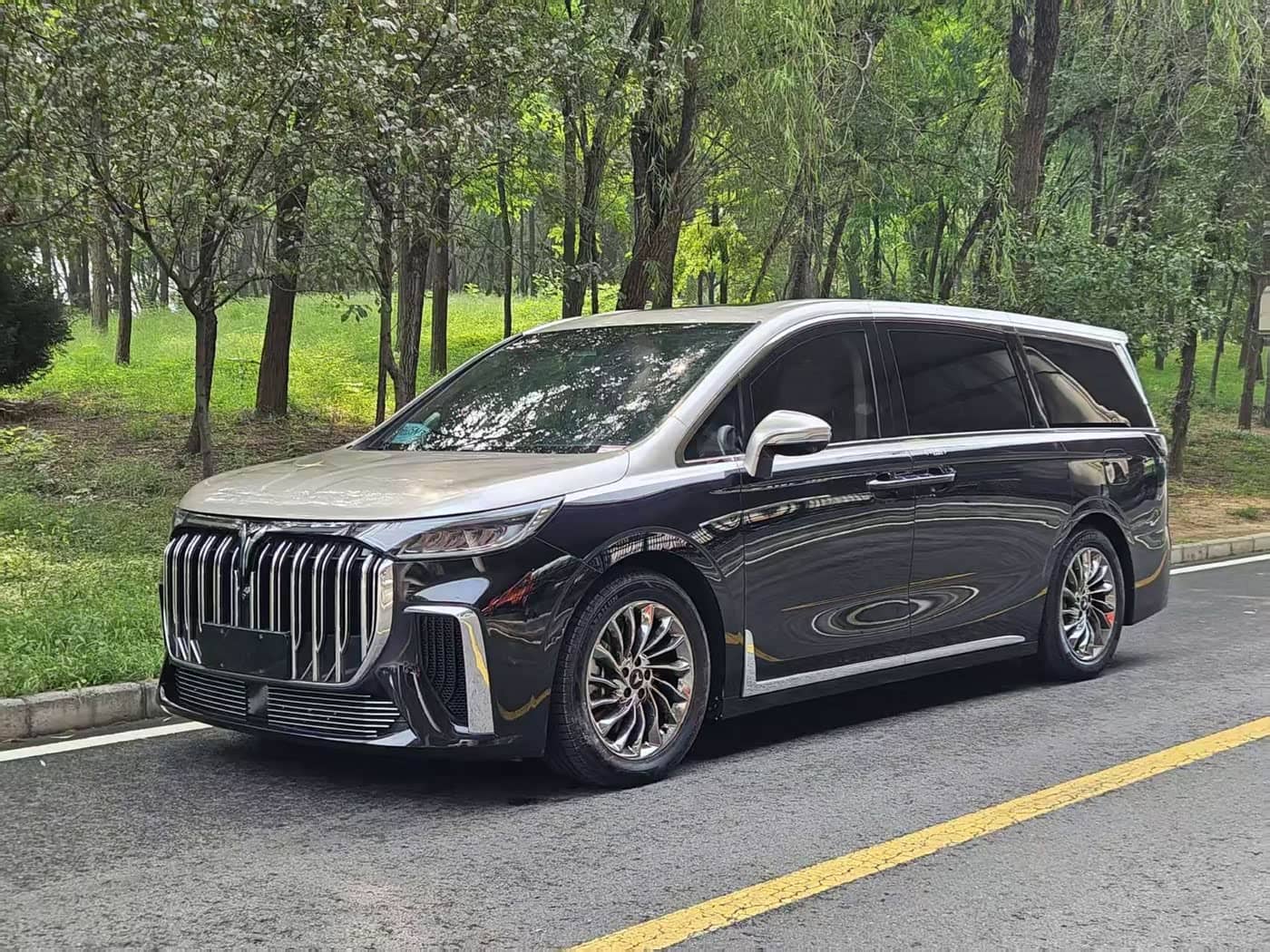 Voyah Auto Voyah Dreamer