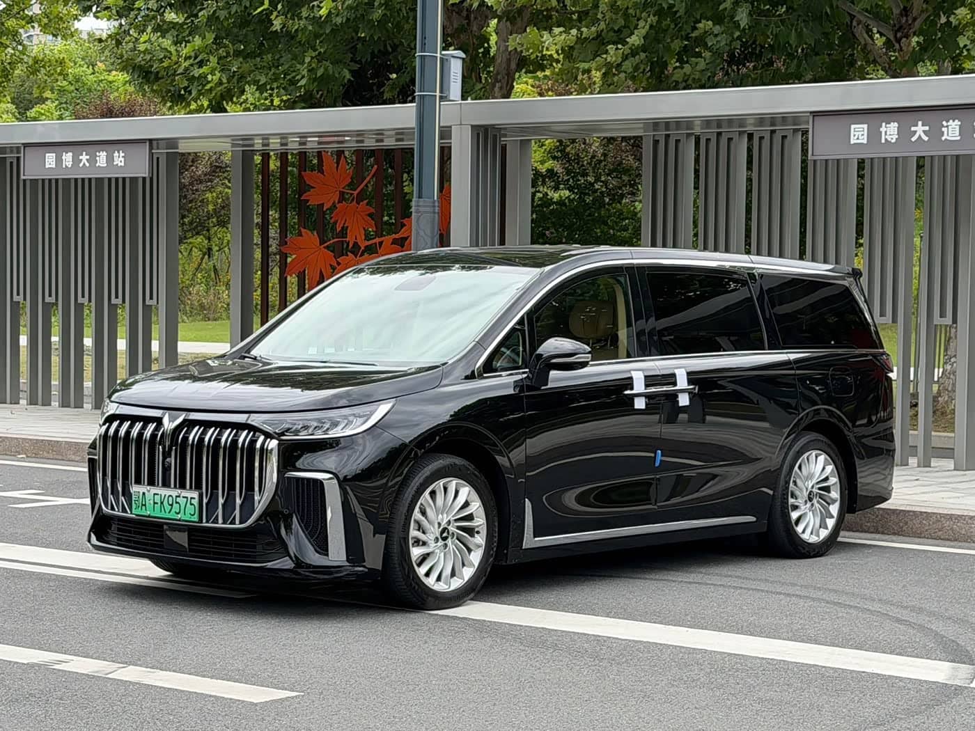 Voyah Auto Voyah Dreamer