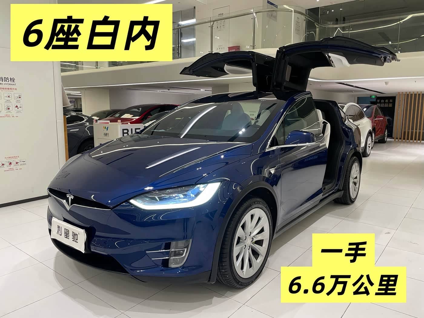 Tesla Model X