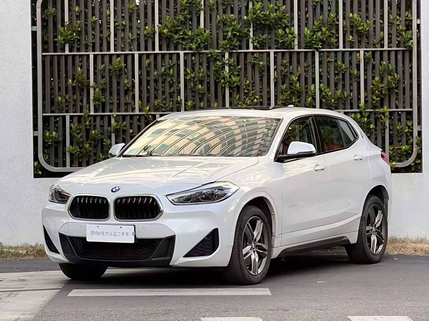 BMW X2