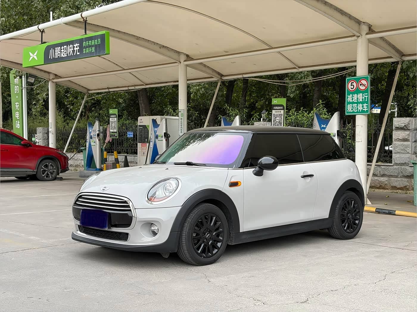 MINI MINI