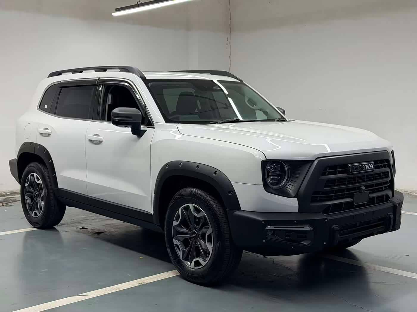 Haval Big Dog