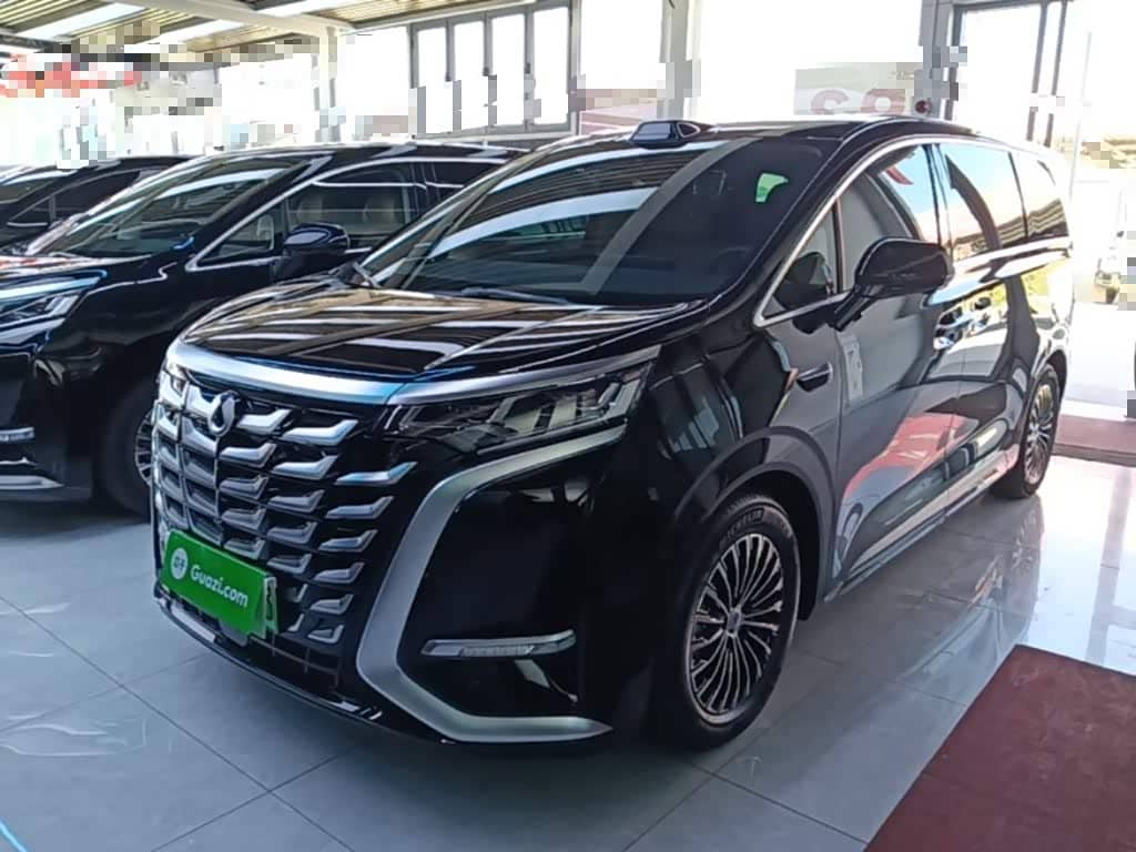 Denza D9