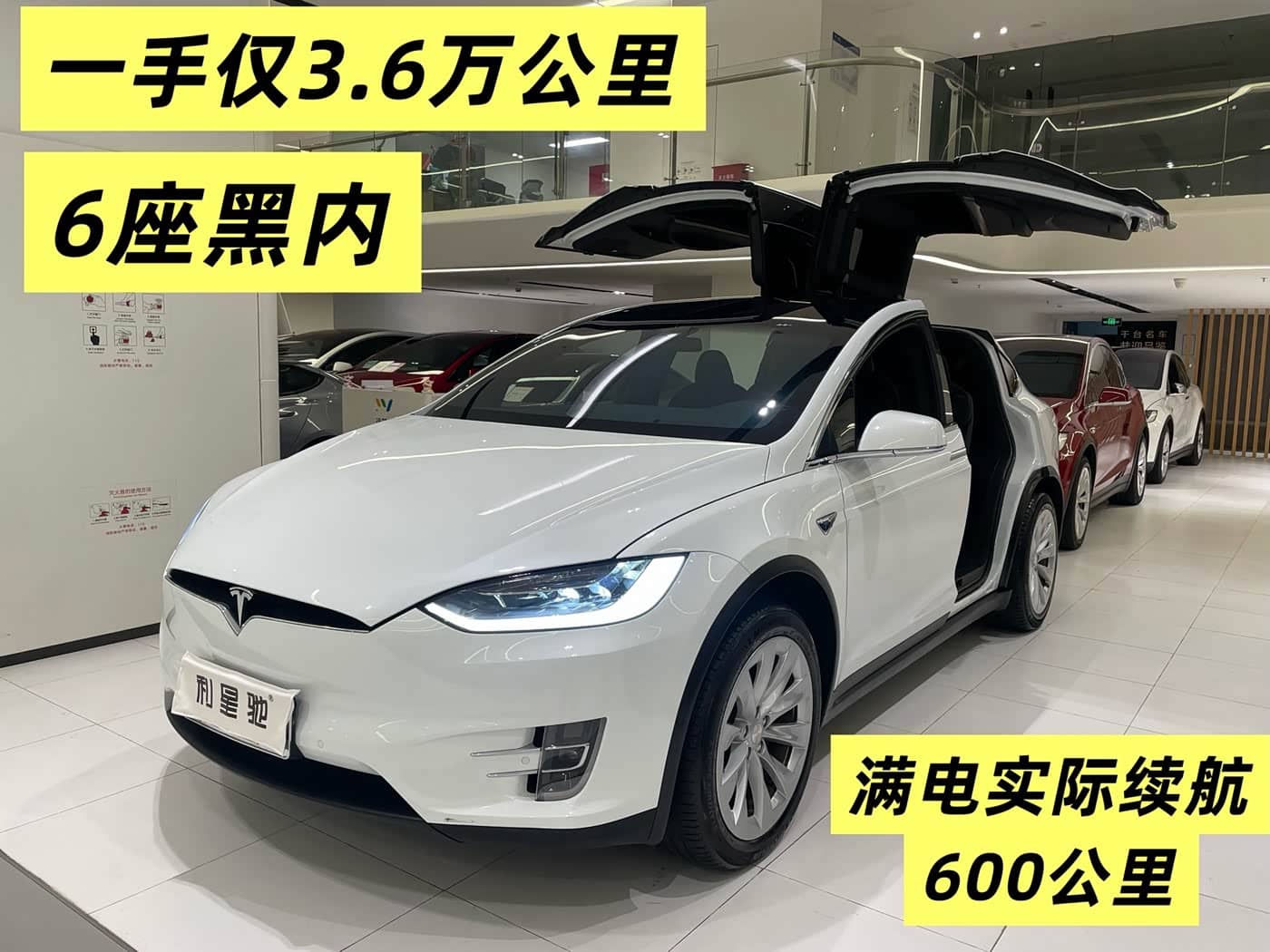 Tesla Model X