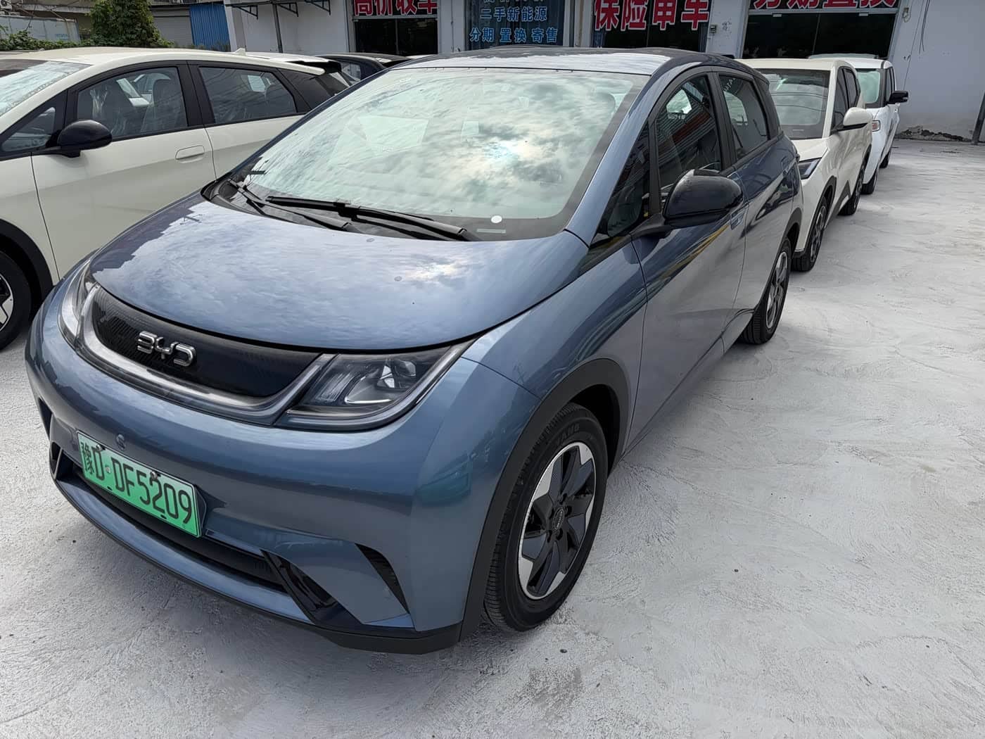 BYD Dolphin