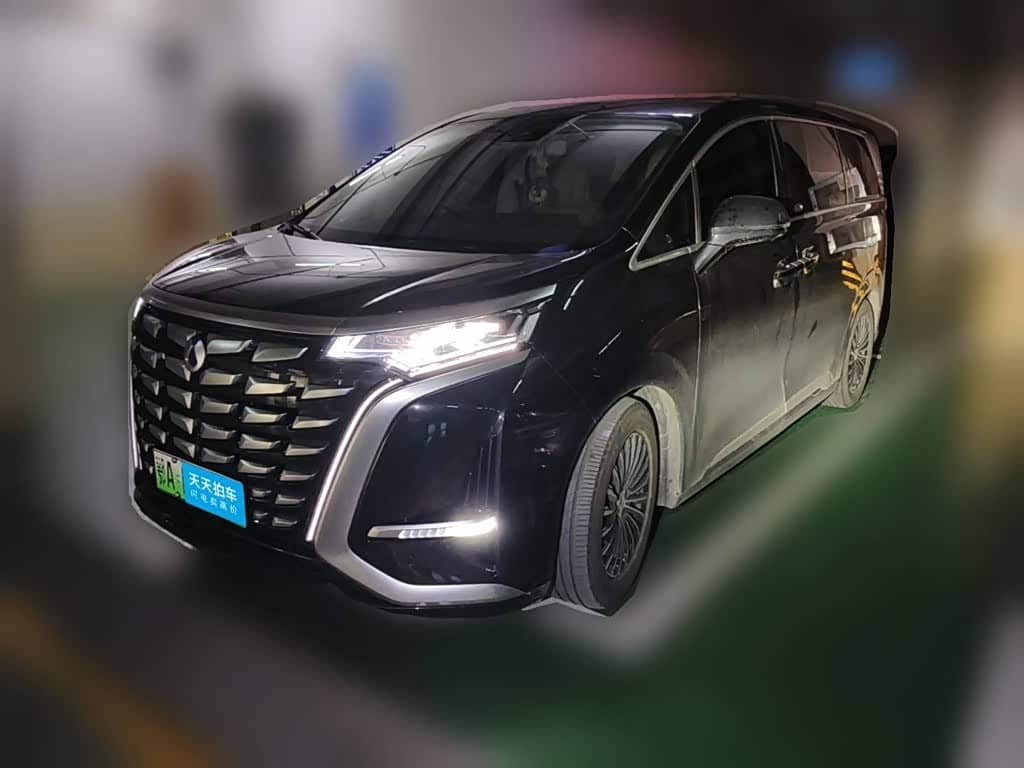 Denza D9