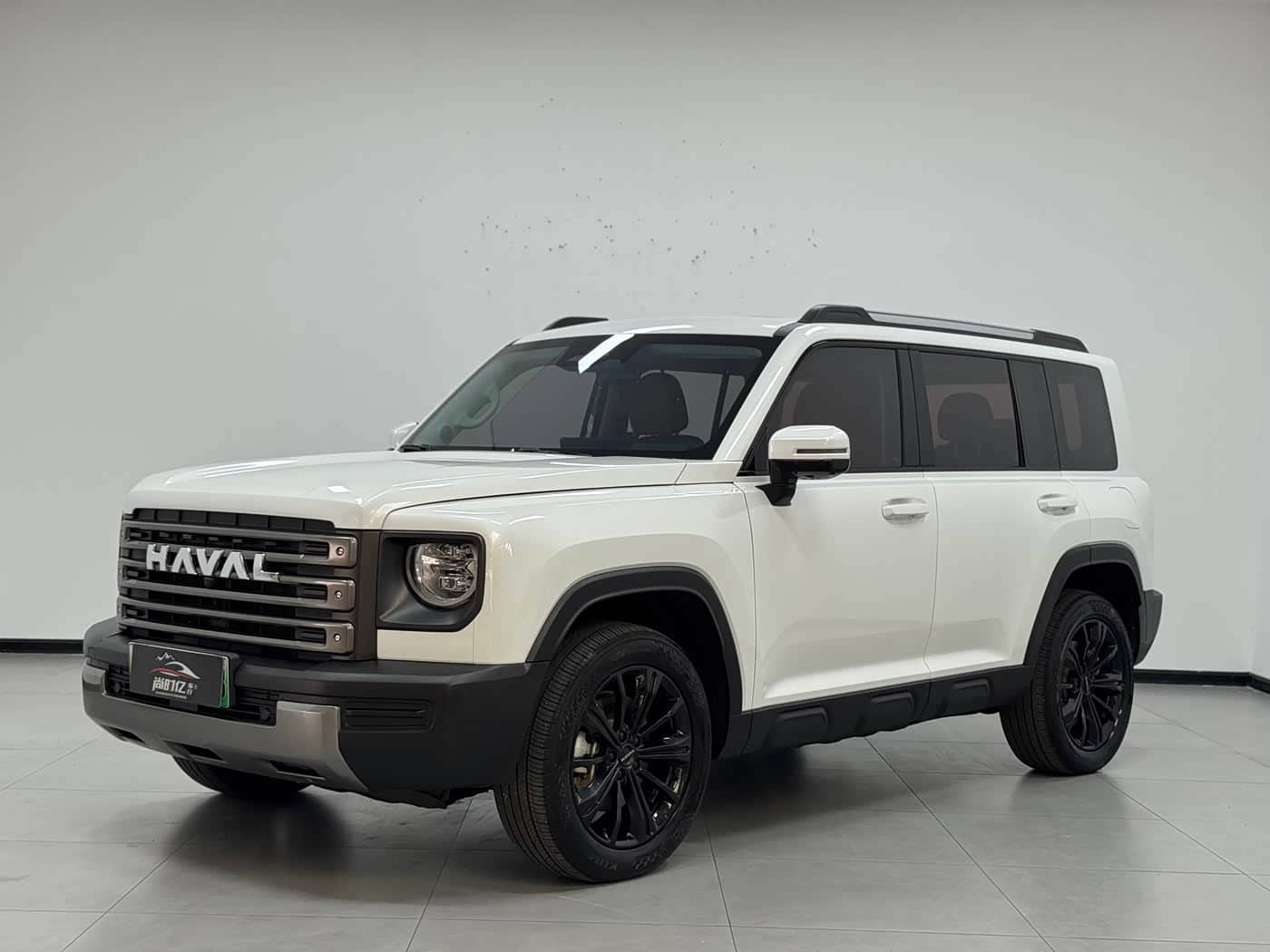 Haval Meng Long NEV