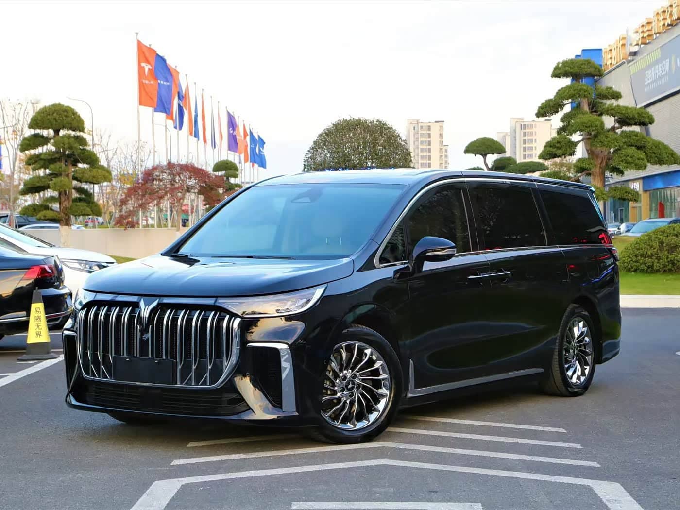 Voyah Auto Voyah Dreamer