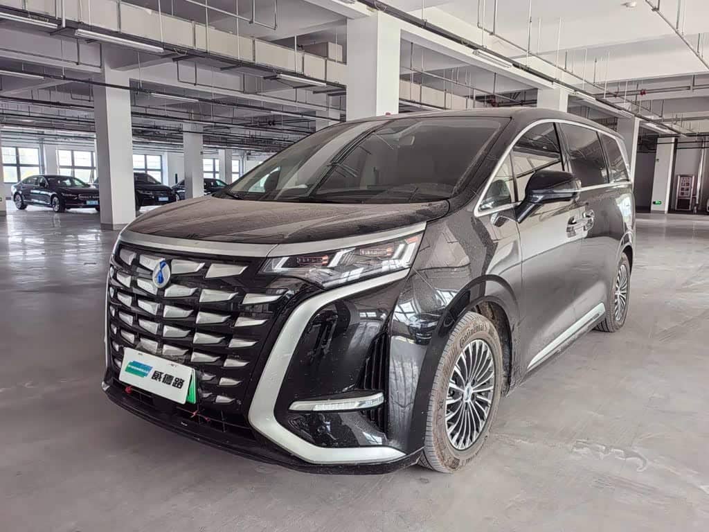 Denza D9