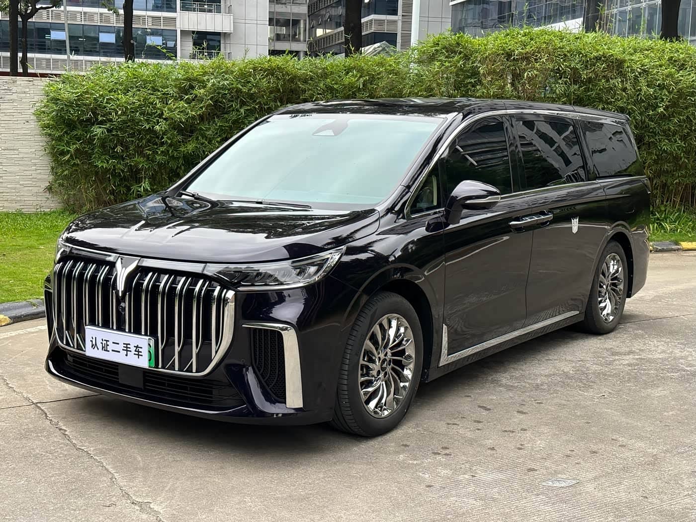 Voyah Auto Voyah Dreamer