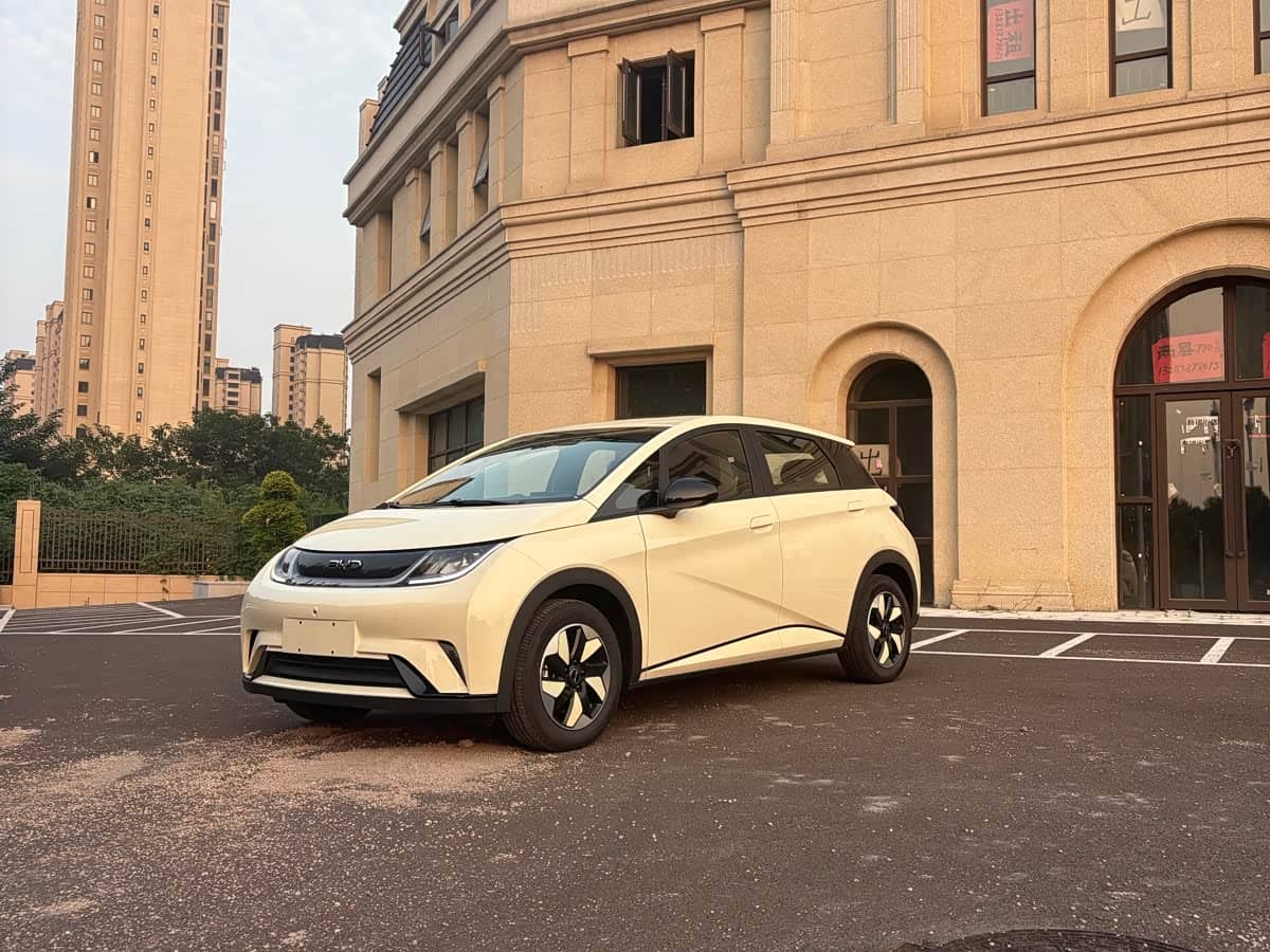 BYD Dolphin