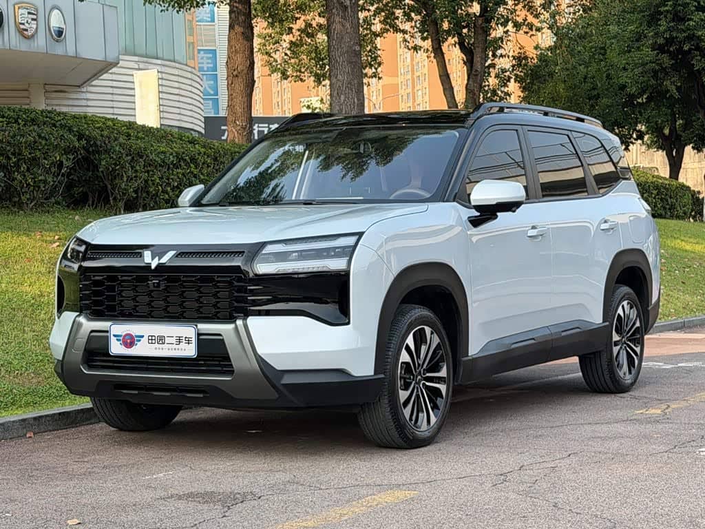 Wuling Motors Starlight 560 NEV