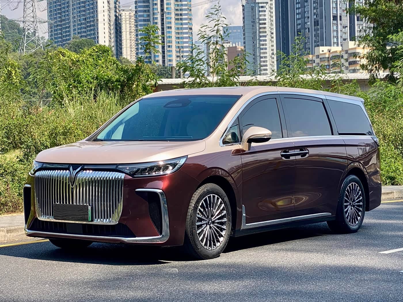 Voyah Auto Voyah Dreamer