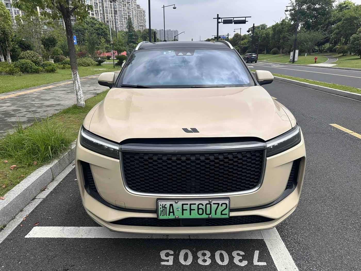 Li Auto Li ONE
