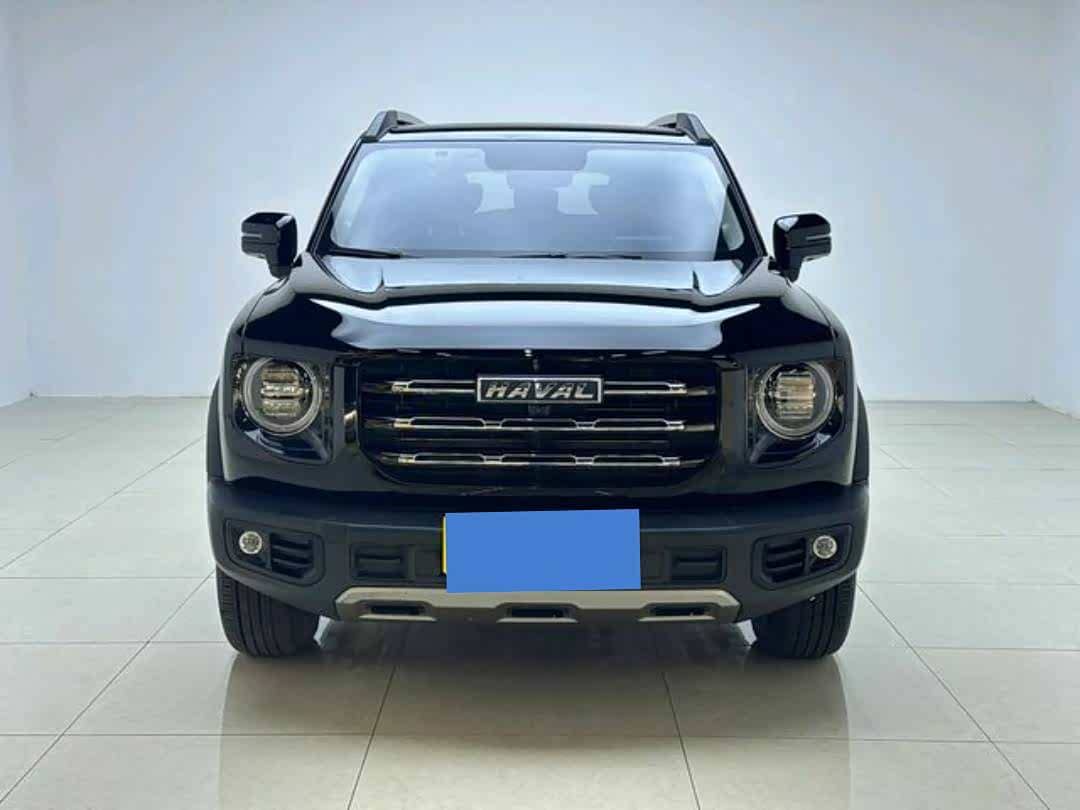 Haval Big Dog