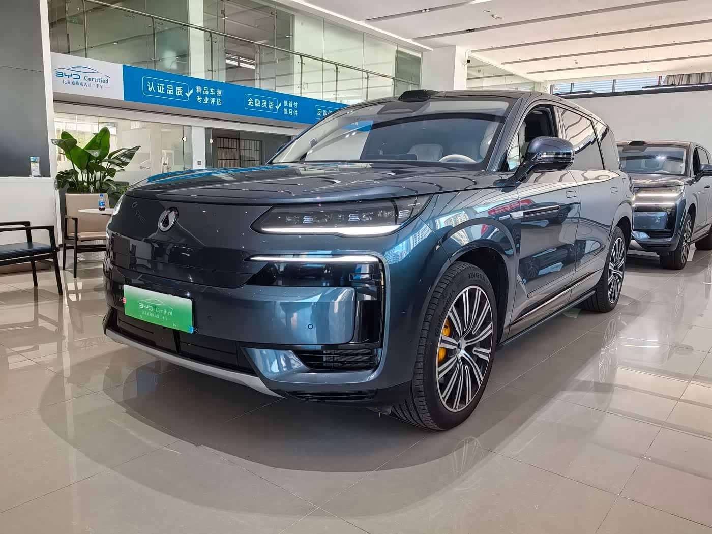 Denza N9