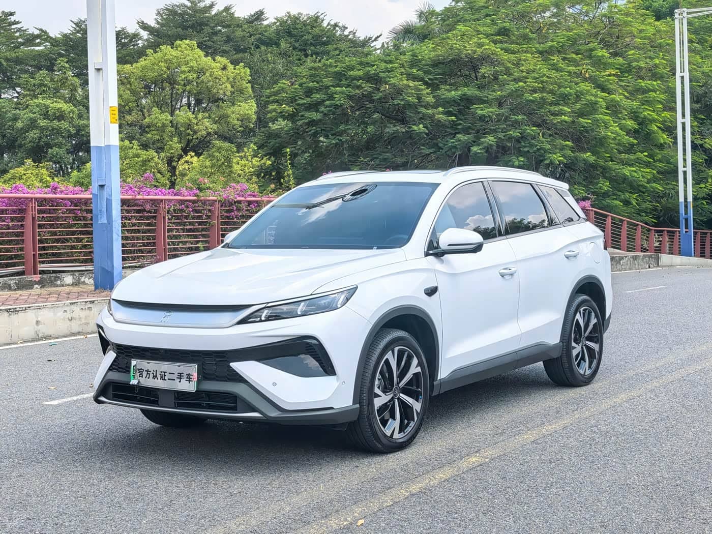 BYD Song Pro New Energy