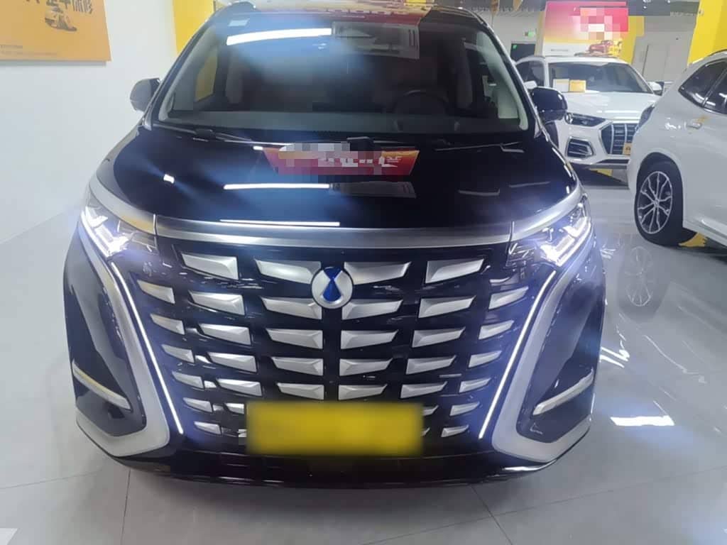 Denza D9