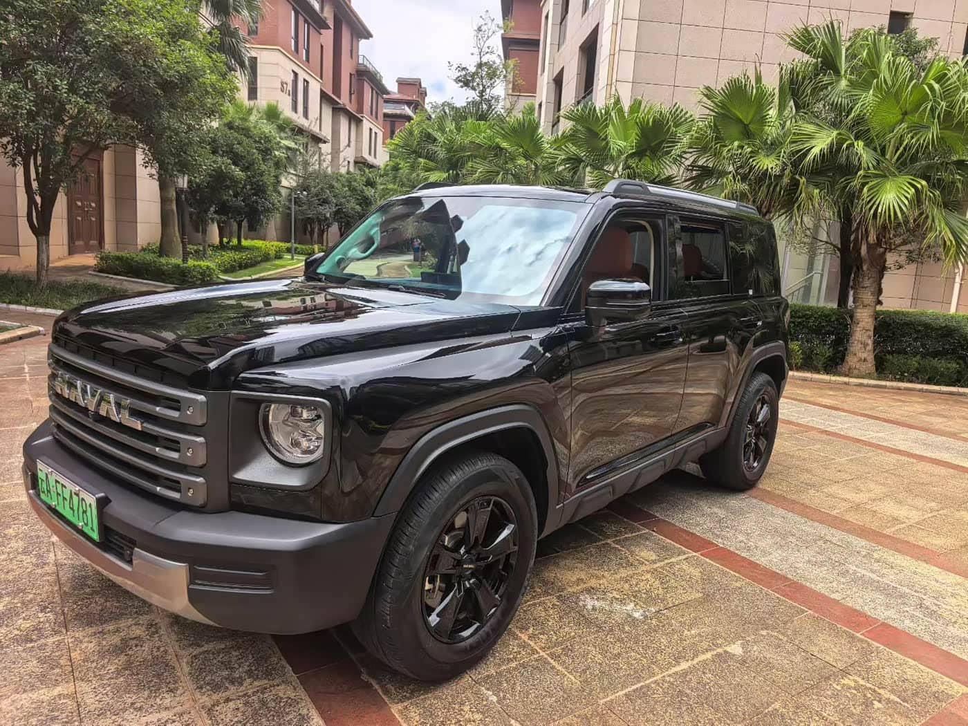 Haval Meng Long NEV