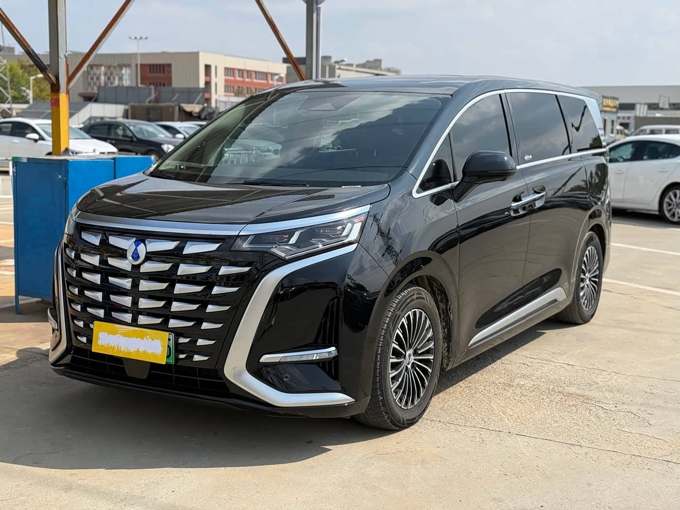 Denza D9