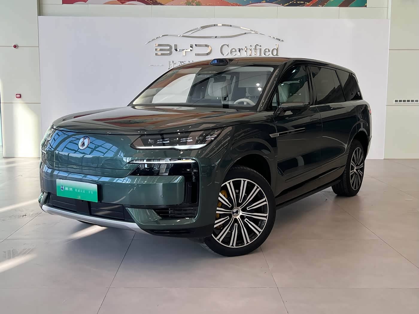 Denza N9